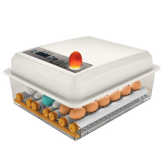 Automatic Intelligent Incubator